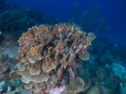 Playa_Canoa_20121013_005